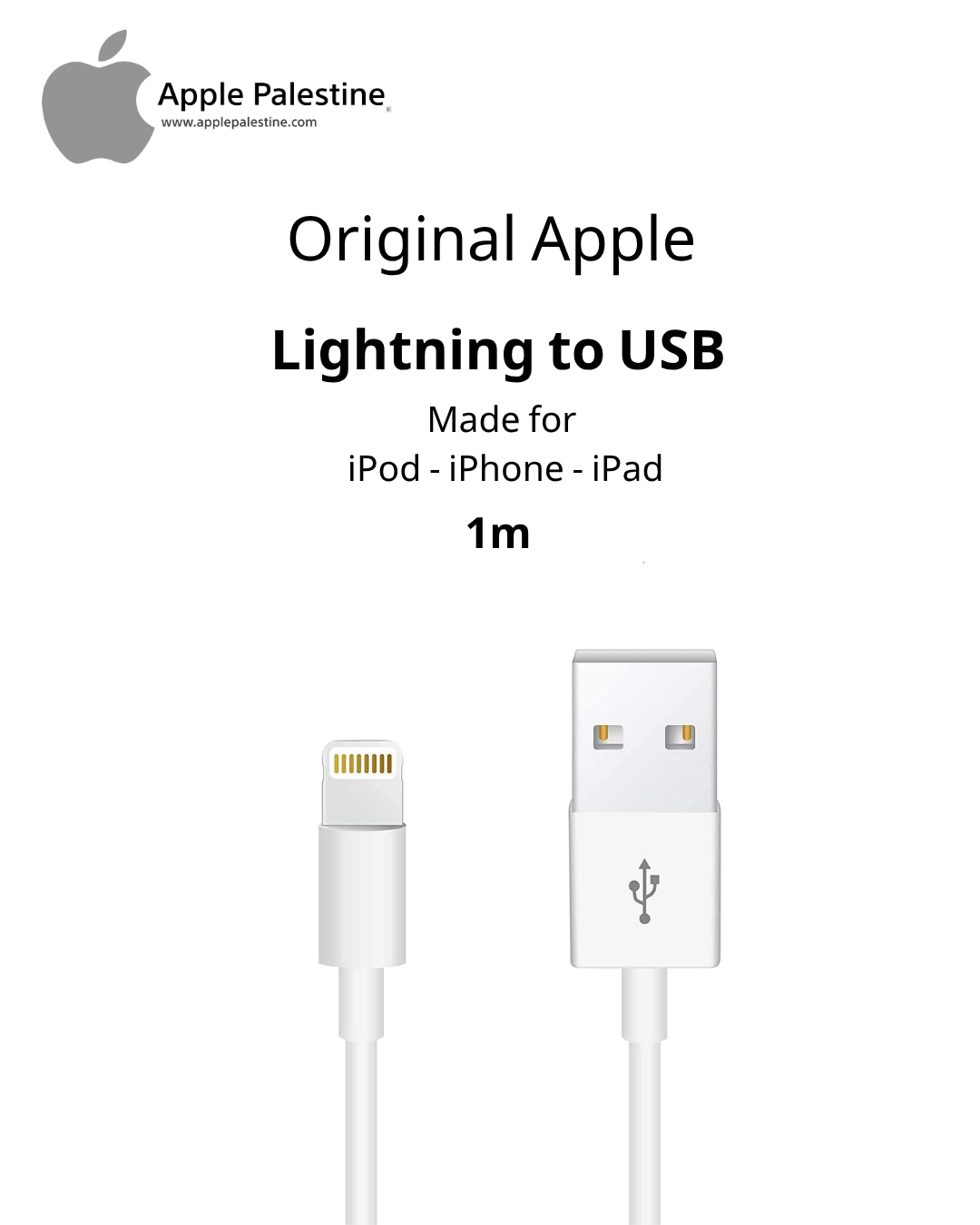 Lightning to USB